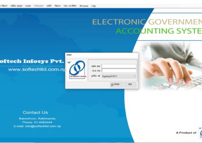 Electronic Government Accounting System Software